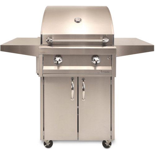 26" 2-Burner Gas Grill