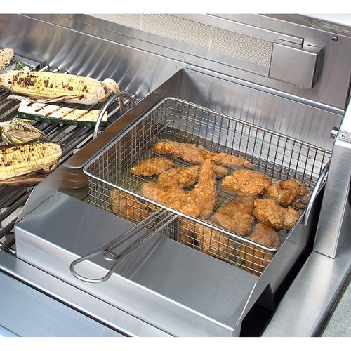 Steamer & Fryer Gas Grill