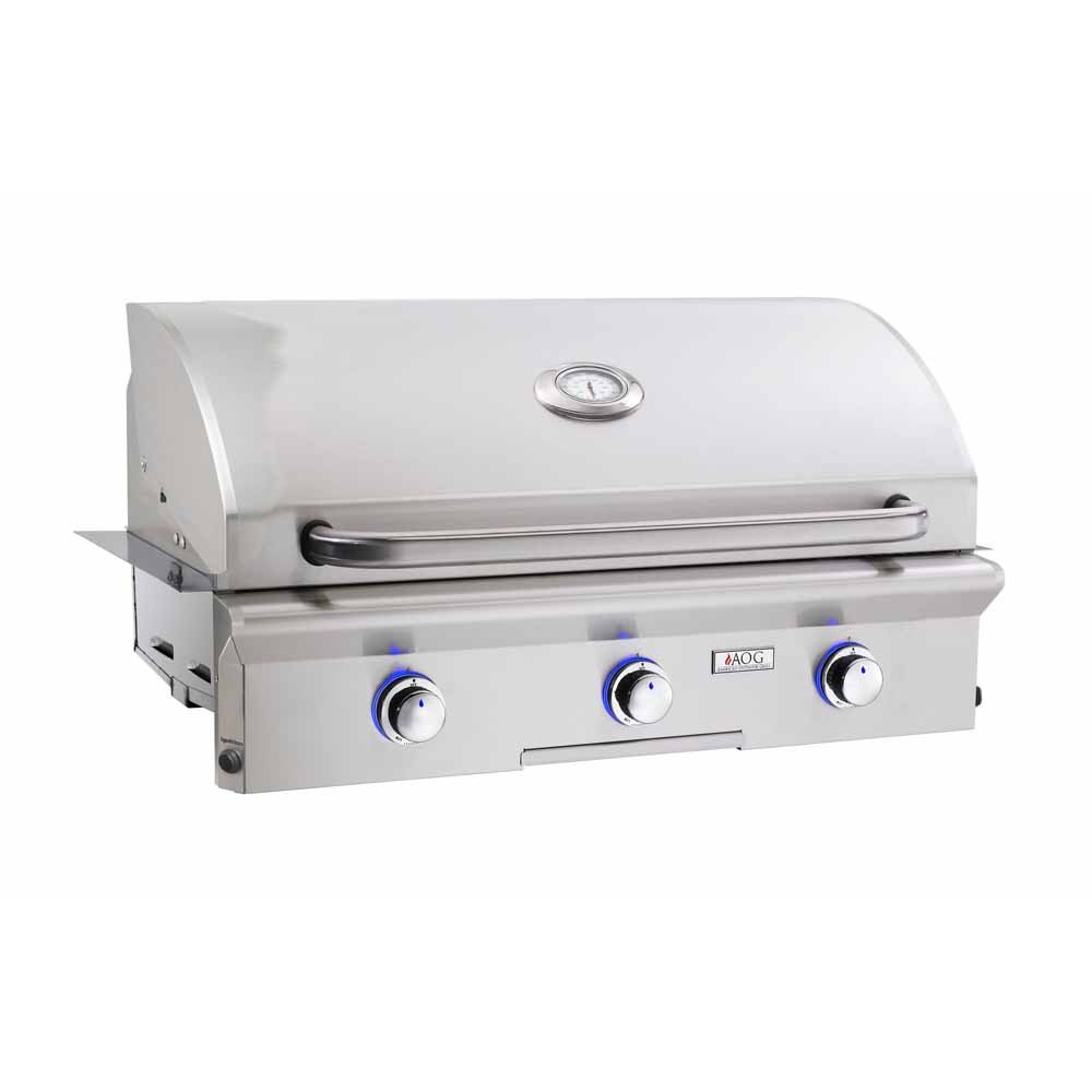 American Outdoor Grill T-Series Portable Grill