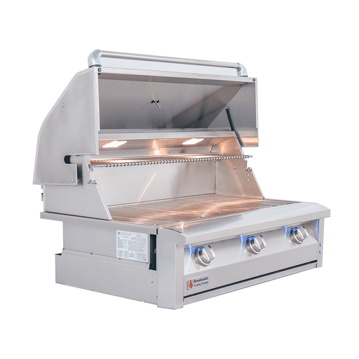 American Outdoor Grill Built-In Gas Grill