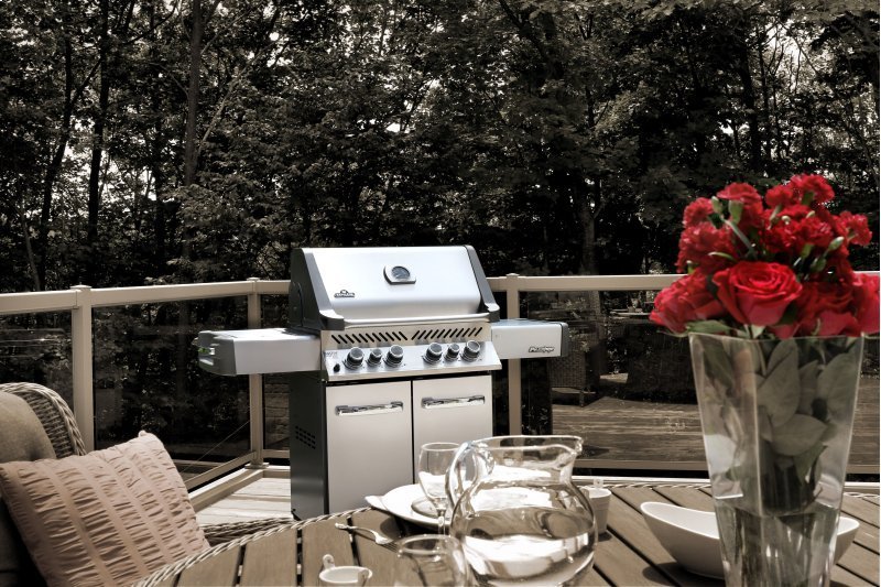 Napoleon | Prestige 500 Freestanding Gas Grill with Rear & Side Burner